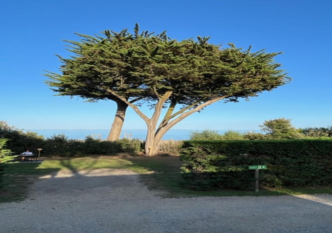 Mobilhomes Quiberon Camping Conguel - Bord De Mer 外观 照片